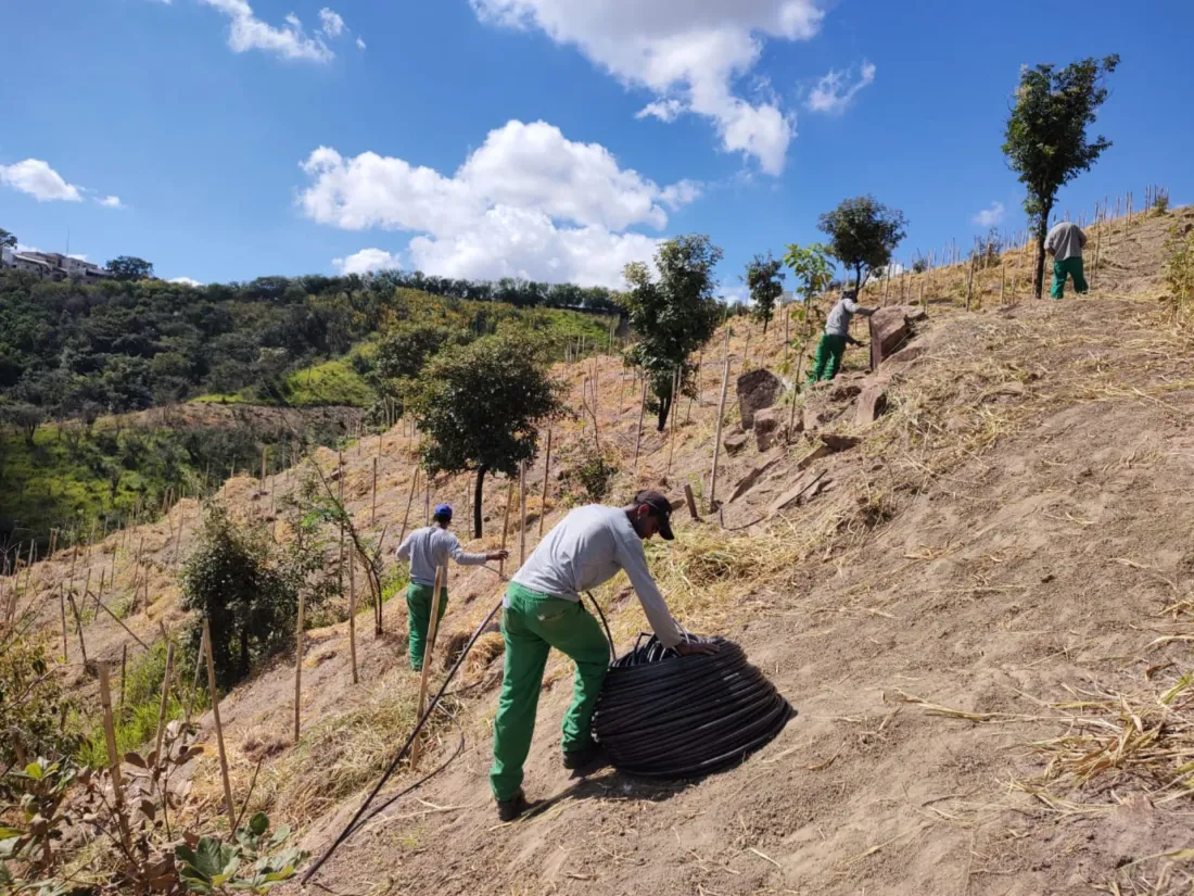 Equipe Pequi instalando sistema de irrigação por gotejamento em encosta