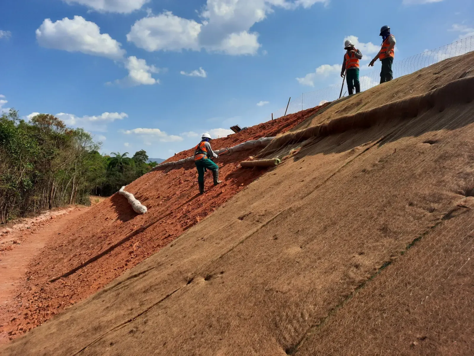 Equipe Pequi aplicando biomanta sobre talude para preparo de gramado