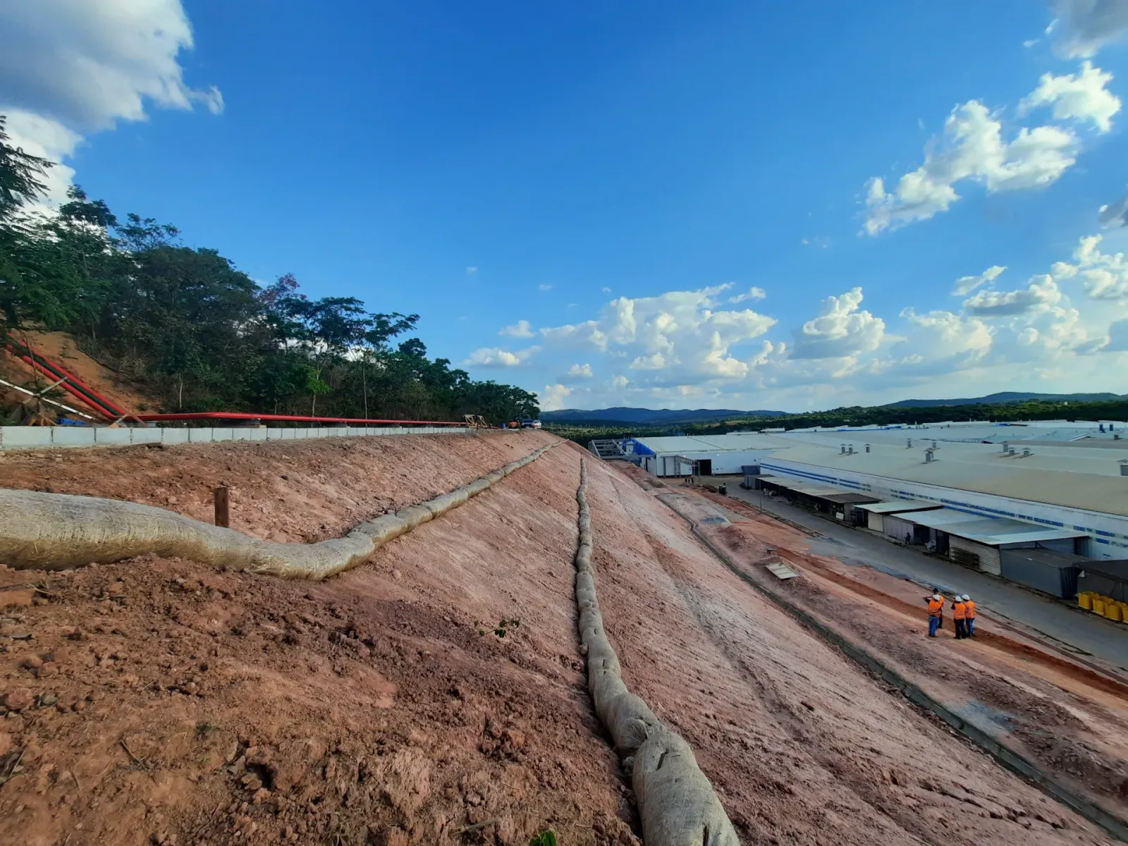 Talude com manta orgânica instalada antes da formação completa do gramado