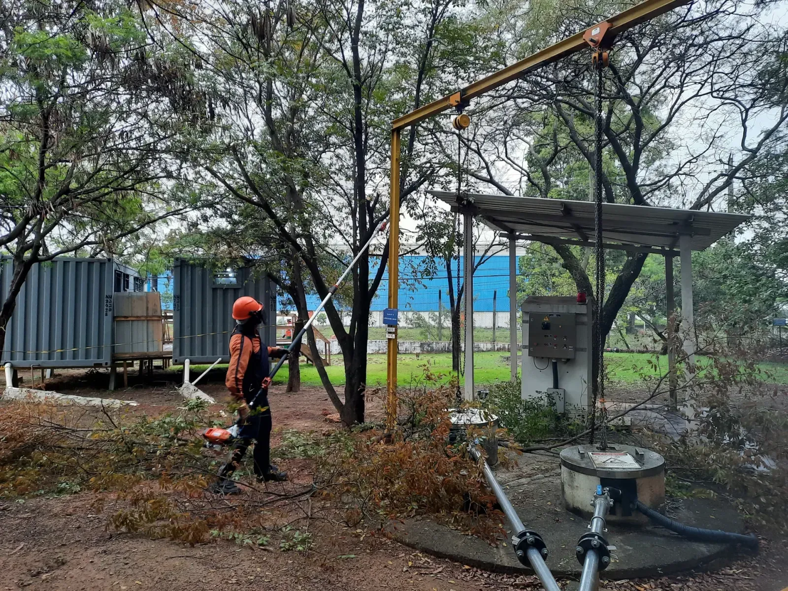 Operação de poda com caminhão munck em rede elétrica