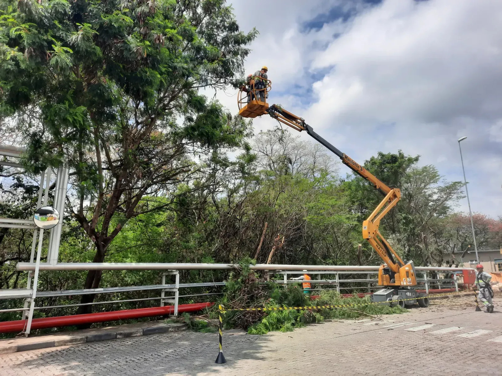 Arborista Pequi com motopoda em área industrial