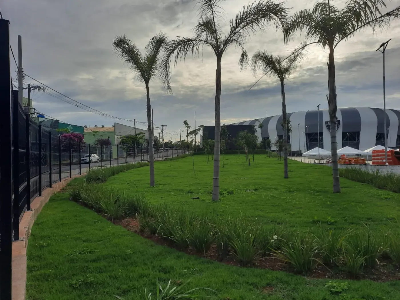 Paisagismo com palmeiras e forração em canteiro gramado junto à Arena MRV