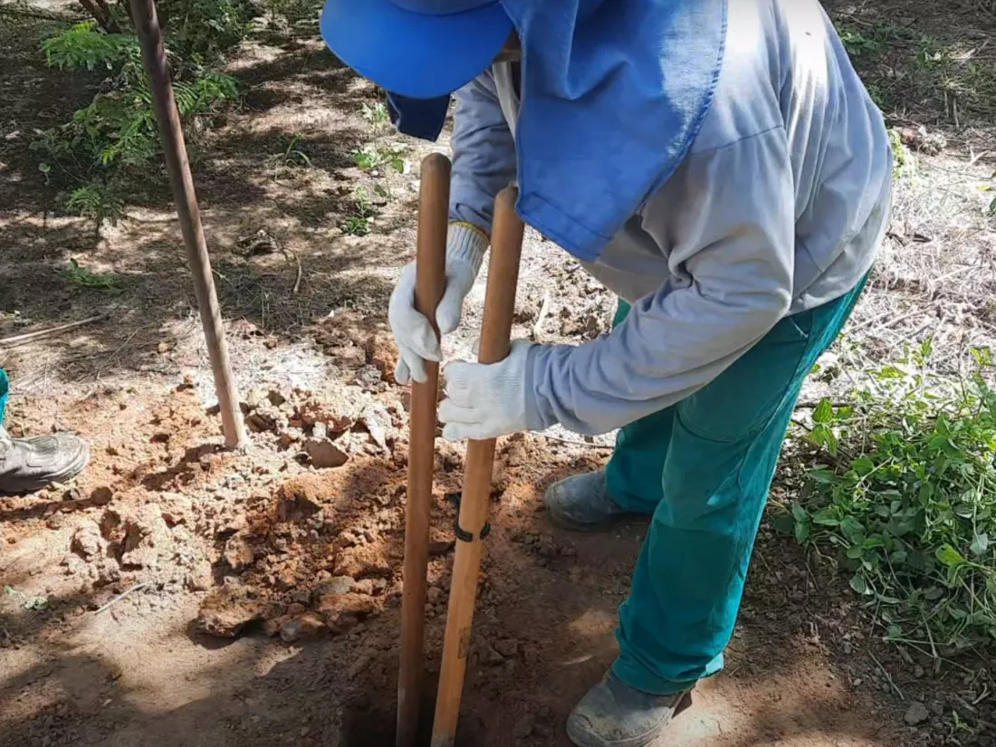 Trabalhador Pequi abrindo cova para plantio de muda nativa