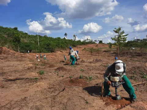 Equipe Pequi abrindo covas com perfurador motorizado para plantio das mudas