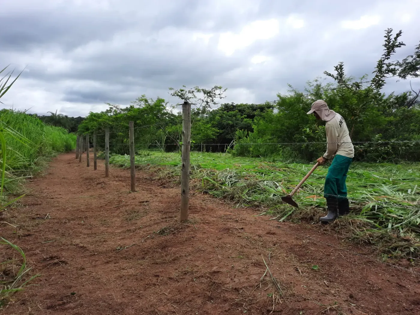 Manutenção de área verde com roçagem manual ao longo de cerca em área industrial