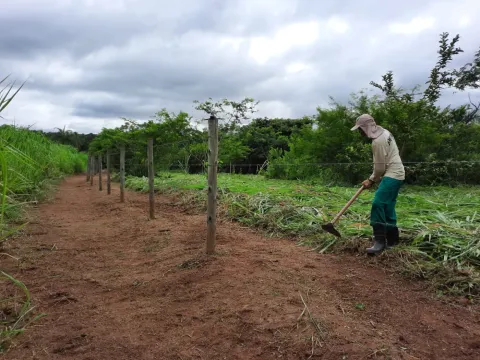 Manutenção de área verde com roçagem manual ao longo de cerca em área industrial