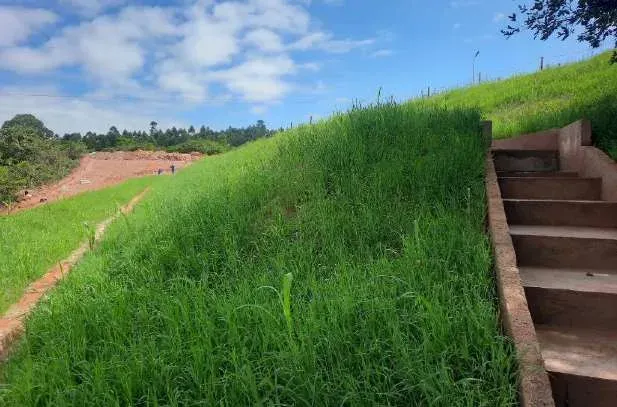 Talude estabilizado e vegetado após hidrossemeadura na unidade Belgo de Itaúna